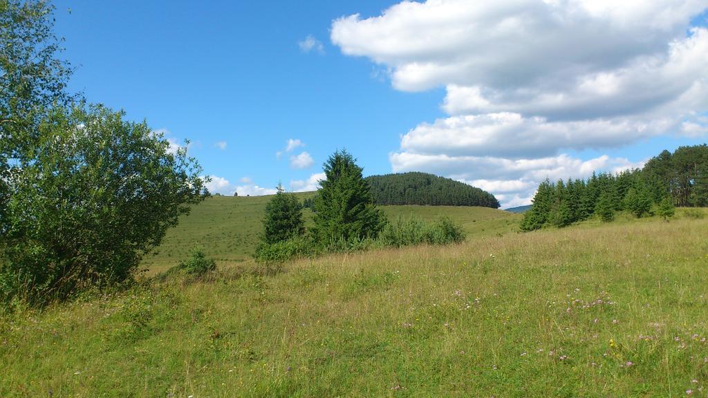 Becze Vanda kulcsosház Szárhegy Kültér fotó