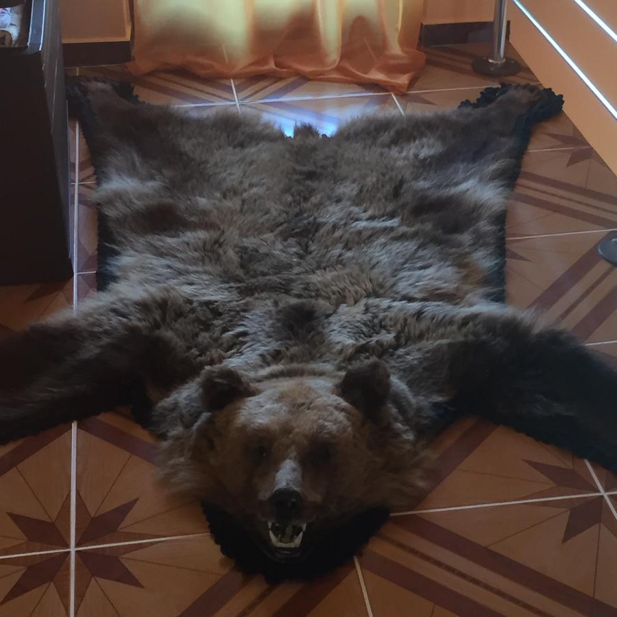 Becze Vanda kulcsosház Szárhegy Kültér fotó